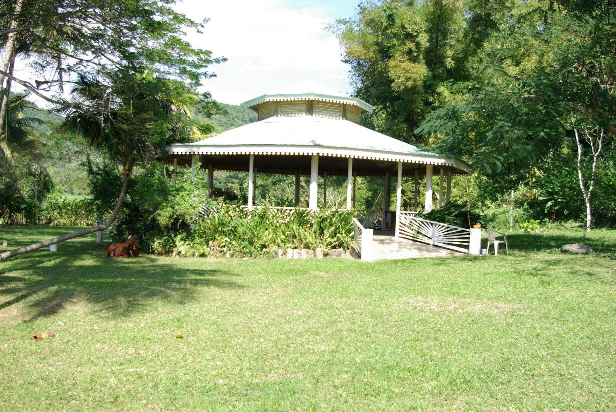 Sunset Heal Jamaica Hotel Caledonia Exterior photo